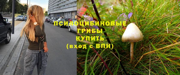 метадон Дубна