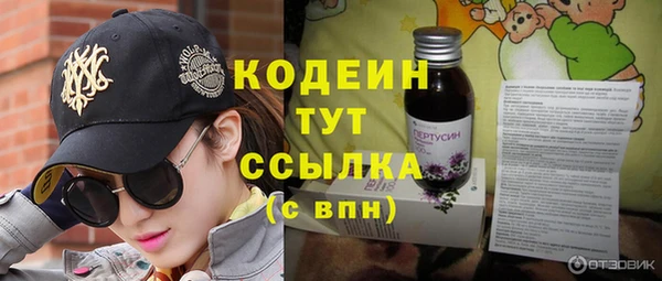 молекула духа Снежногорск