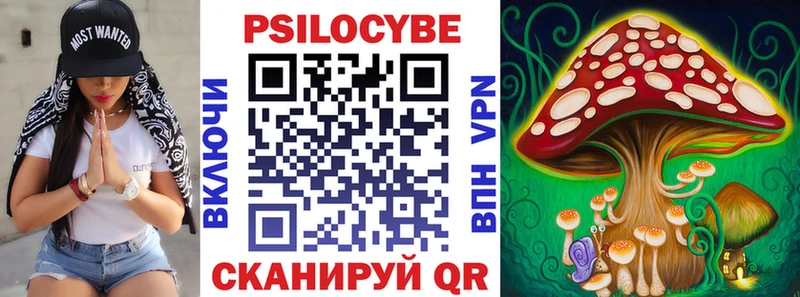 Галлюциногенные грибы Psilocybine cubensis  Буинск 