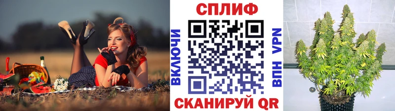 Бошки Шишки ГИДРОПОН  гидра онион  Буинск 